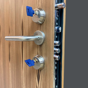 Puertas de Alta Seguridad